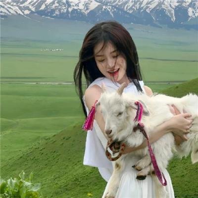逆女泰瑞丝