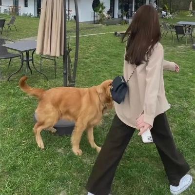 红色诗篇